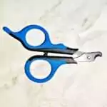Kleine Krallenschere für Wellensittiche