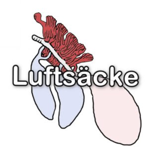 Luftsäcke