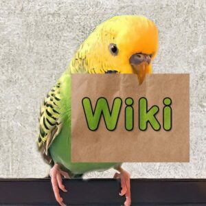 Wiki