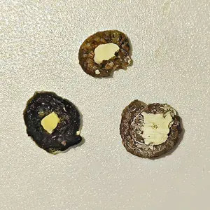 Kotkontrolle