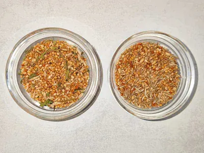 Vergleich Parrots Parcel & Mr. Crumble