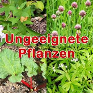 Ungeeignete Pflanzen