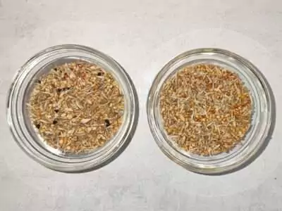 Vergleich Blattner und Mr. Crumble