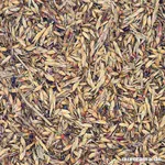Delicha-Grassamen