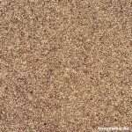 Fonio Paddy