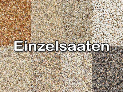 Körner und Saaten