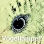 HappyBird: Vogellampe oder Tageslichtlampe?