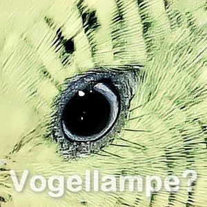 HappyBird: Vogellampe oder Tageslichtlampe?