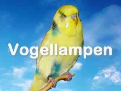 Vogellampen