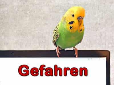 Gefahren von A - Z Gefahren von A - Z