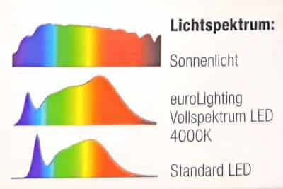 Lichtspektrum