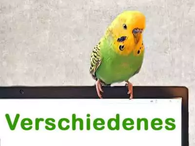 Verschiedenes