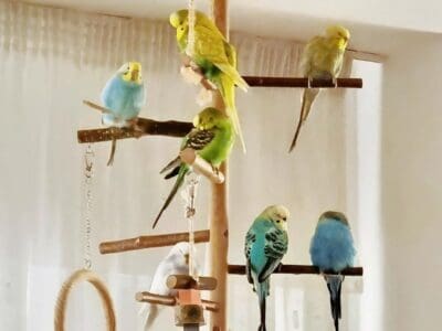 Platzhalter 4x3 Susanne Mierisch