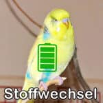 Stoffwechsel