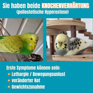Kiesel und Amy 02 Kiesel und Amy 02