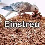 Gastbeitrag: Käfigeinstreu für Sittiche
