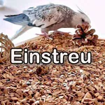 Gastbeitrag: Käfigeinstreu für Sittiche