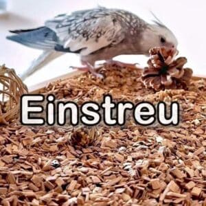 Einstreu