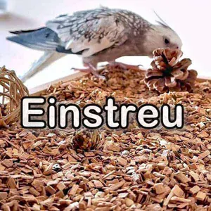 Gastbeitrag: Käfigeinstreu für Sittiche