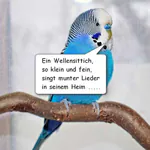 Welli-Gedichte von der KI