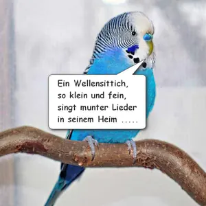 Welli-Gedichte von der KI