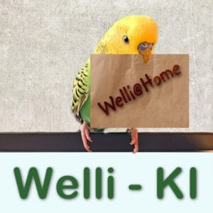 Welli-KI