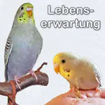 Durchschnittliche Lebenserwartung bei Wellensittichen