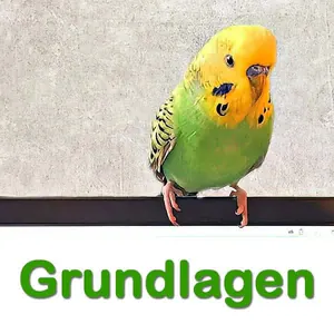 Grundlagen Grundlagen