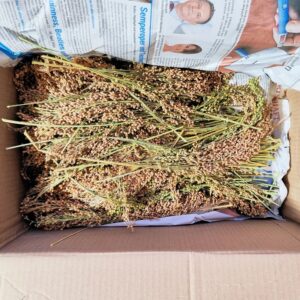 Paket von Hirseparadies