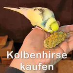 Kolbenhirse für Wellensittiche kaufen