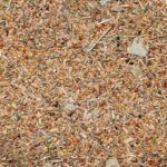 Saaten in Wild Austria Plus