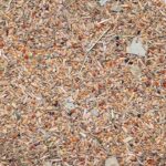 Wild Australia Plus - Saaten Saaten in Wild Austria Plus