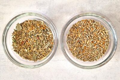 Vergleich Wild Australia Plus und Welli-Fit