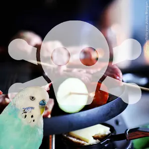 Teflon als tödliche Gefahr