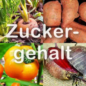 Zuckergehalt in Gemüse für Wellensittichen