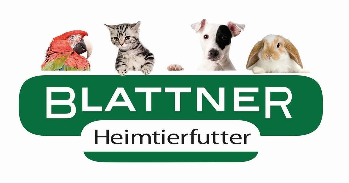 Vorstellung: Blattner