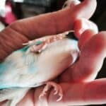 F&uuml;&szlig;e von Gunnar