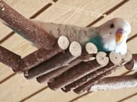 Gunnar liegt auf der H&auml;ngebr&uuml;cke