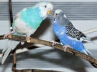 Gunnar und Jule Gunnar und Jule