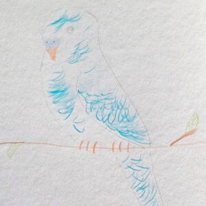 Sch&uuml;lerzeichnung von Gunnar