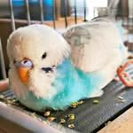 Beitragsbild