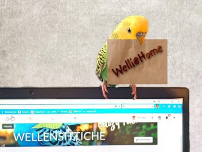 &Uuml;ber Welli@Home