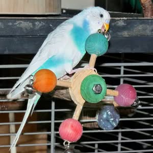Gunnar mit Drehspielzeug Gunnar