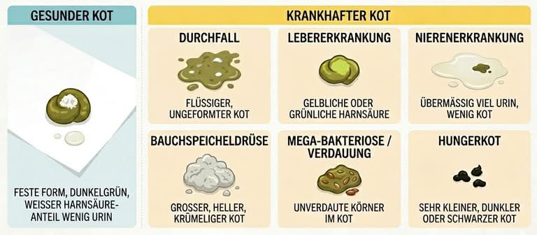 Kotveränderungen bei Erkrankung Kotveränderungen bei Erkrankung