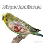 Beitragsbild
