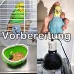 Vorbereitung Vorbereitung auf Erkrankungen