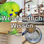 Wellensittich-Wissen Wellensittich-Wissen