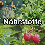 Nährstoffe in Futterpflanzen