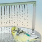 Vogeldusche USB mit Rasmus