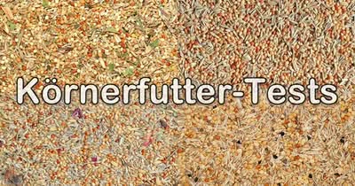 Test-Körnerfutter Tests von Körnerfutter für Wellensittiche